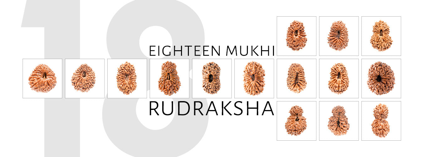 18 Mukhi Rudraksha