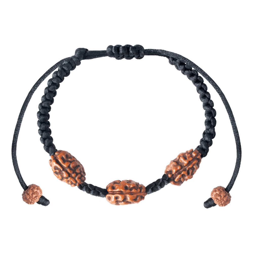 2 Mukhi Rudraksha Bracelet