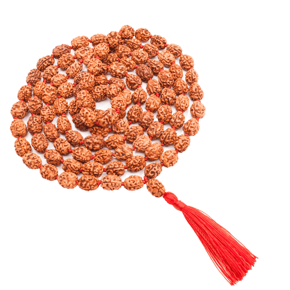 3_Mukhi_Rudraksha_Mala