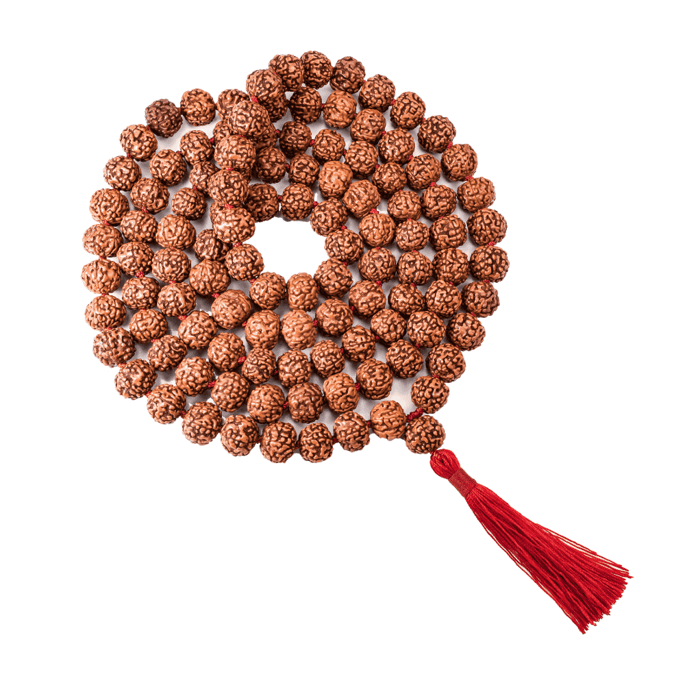 6_Mukhi_Rudraksha_Mala