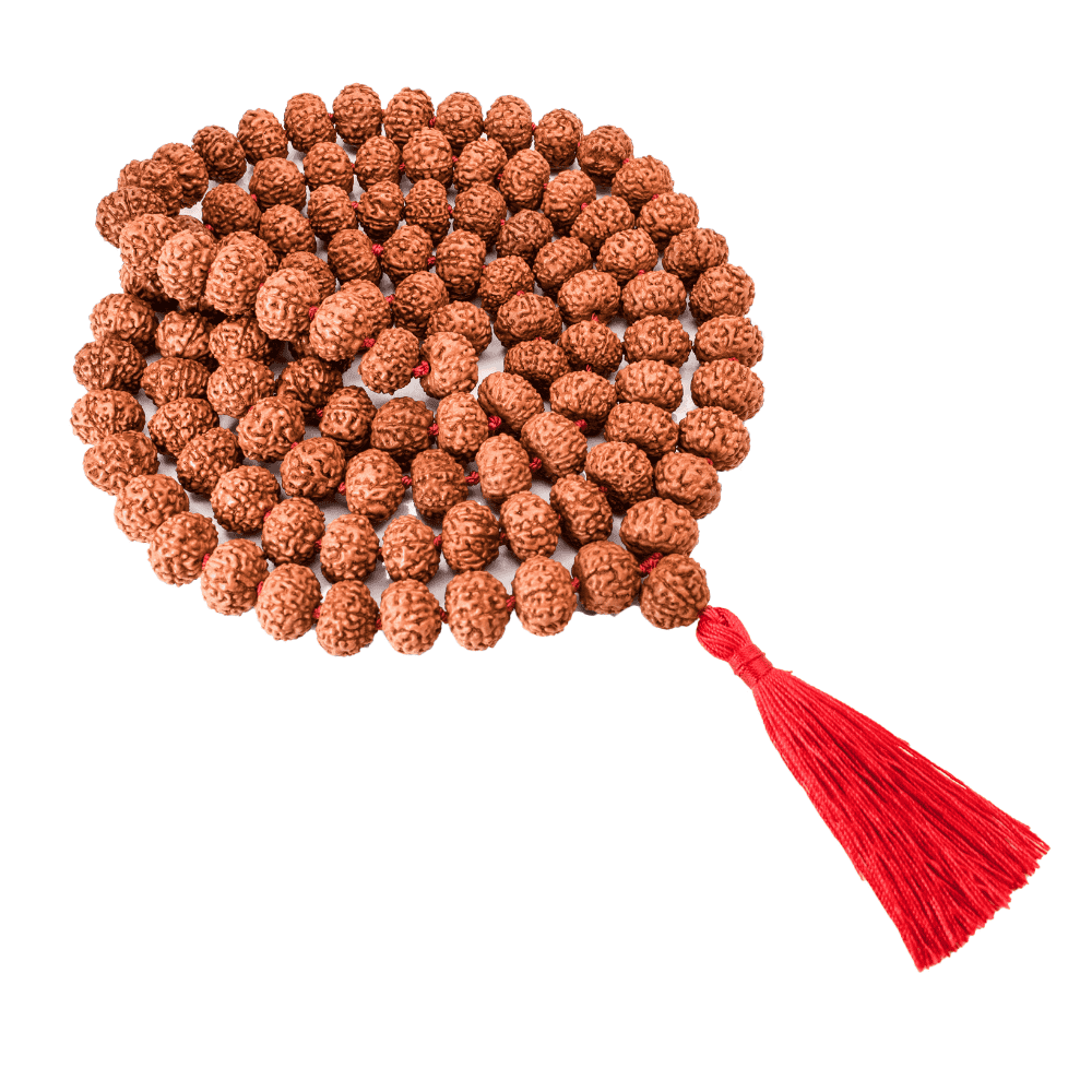 7_Mukhi_Rudraksha_Mala