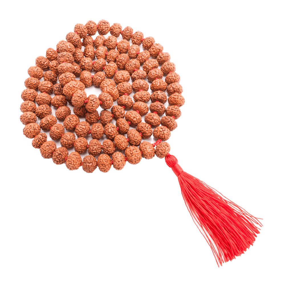 8_Mukhi_Rudraksha_Mala