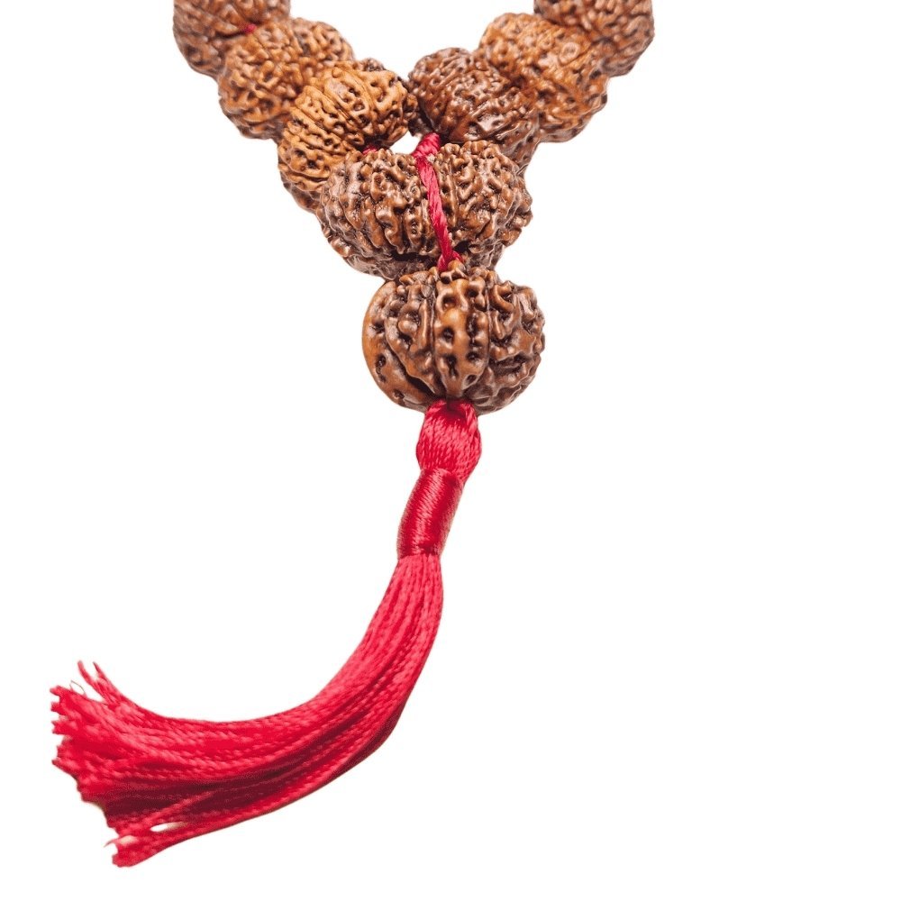 Siddha_Mala_Rudraksha_108
