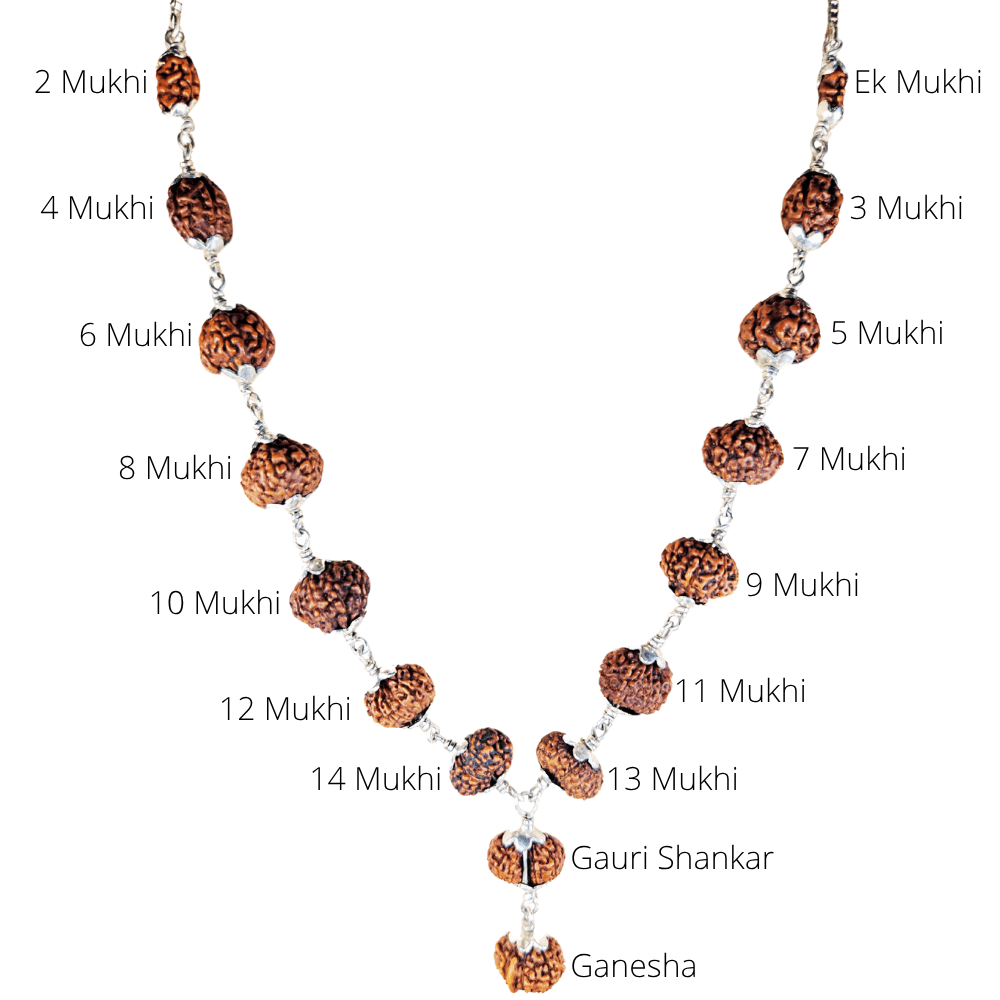 Siddha_Mala_Rudraksha_Silver_Capping_1 to 14_Mukhi_Rudraksha Malas