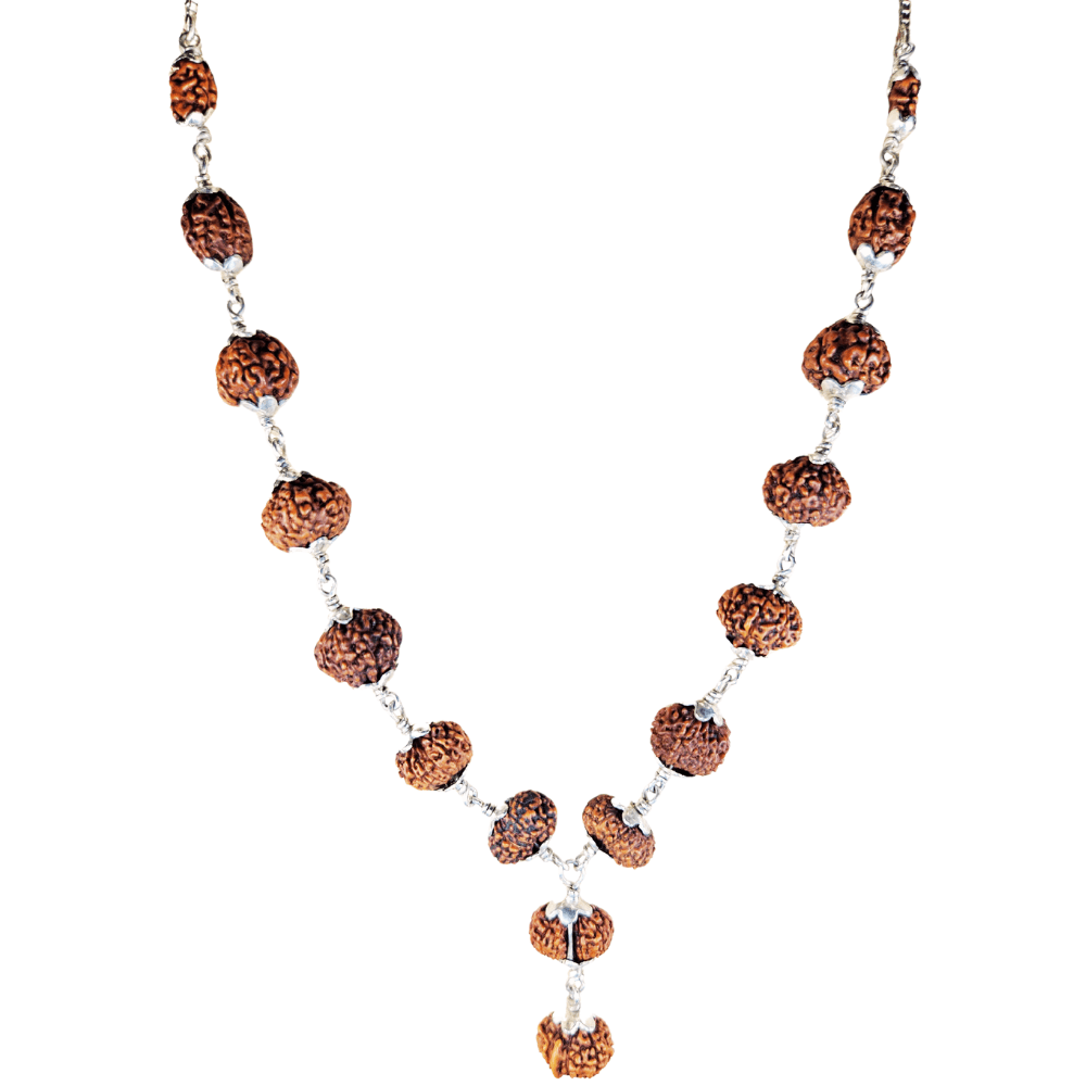 Siddha_Mala_Rudraksha_Silver_Capping_1_to_14_Mukhi_Rudraksha_Mala