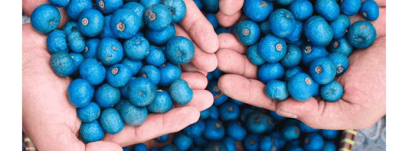 Rudraksha Benefits