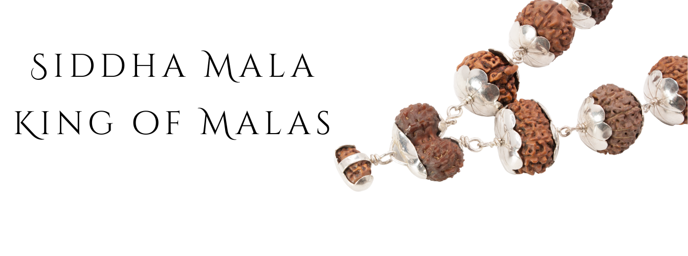 Siddha Mala Rudraksha
