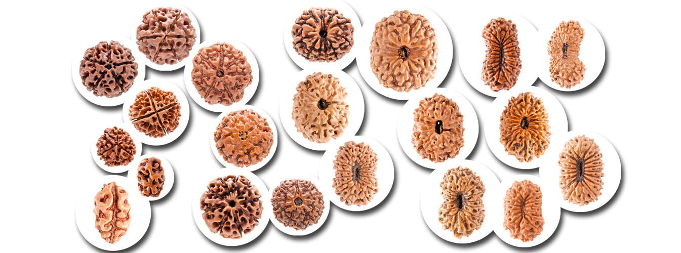 Which Rudraksha Is Best 