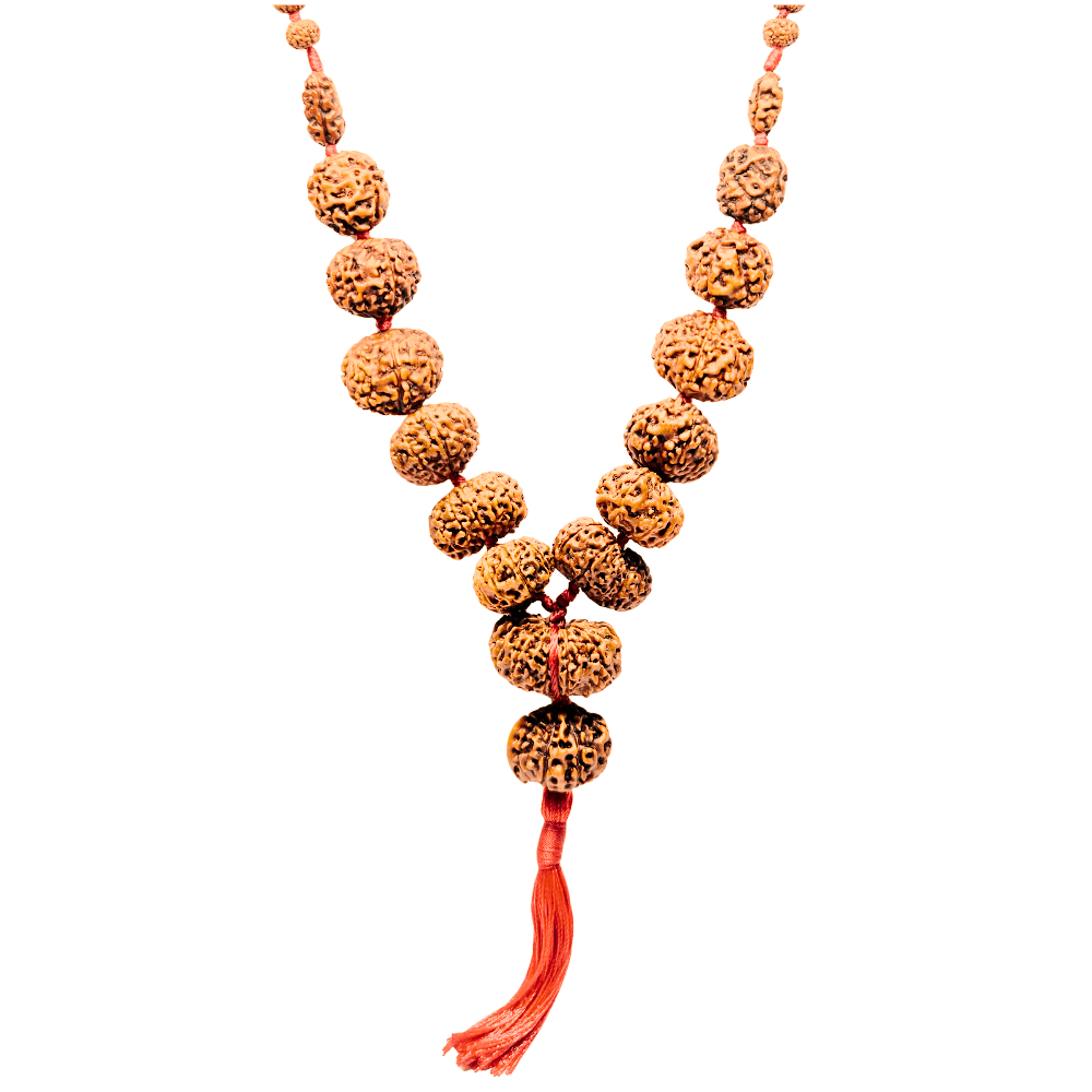Siddha Mala Rudraksha - Rudraksha Indonesia 