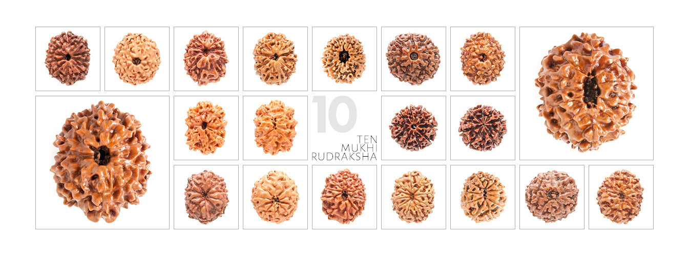 10 Mukhi Rudraksha Bracelet (Silver) – Rudradhyay