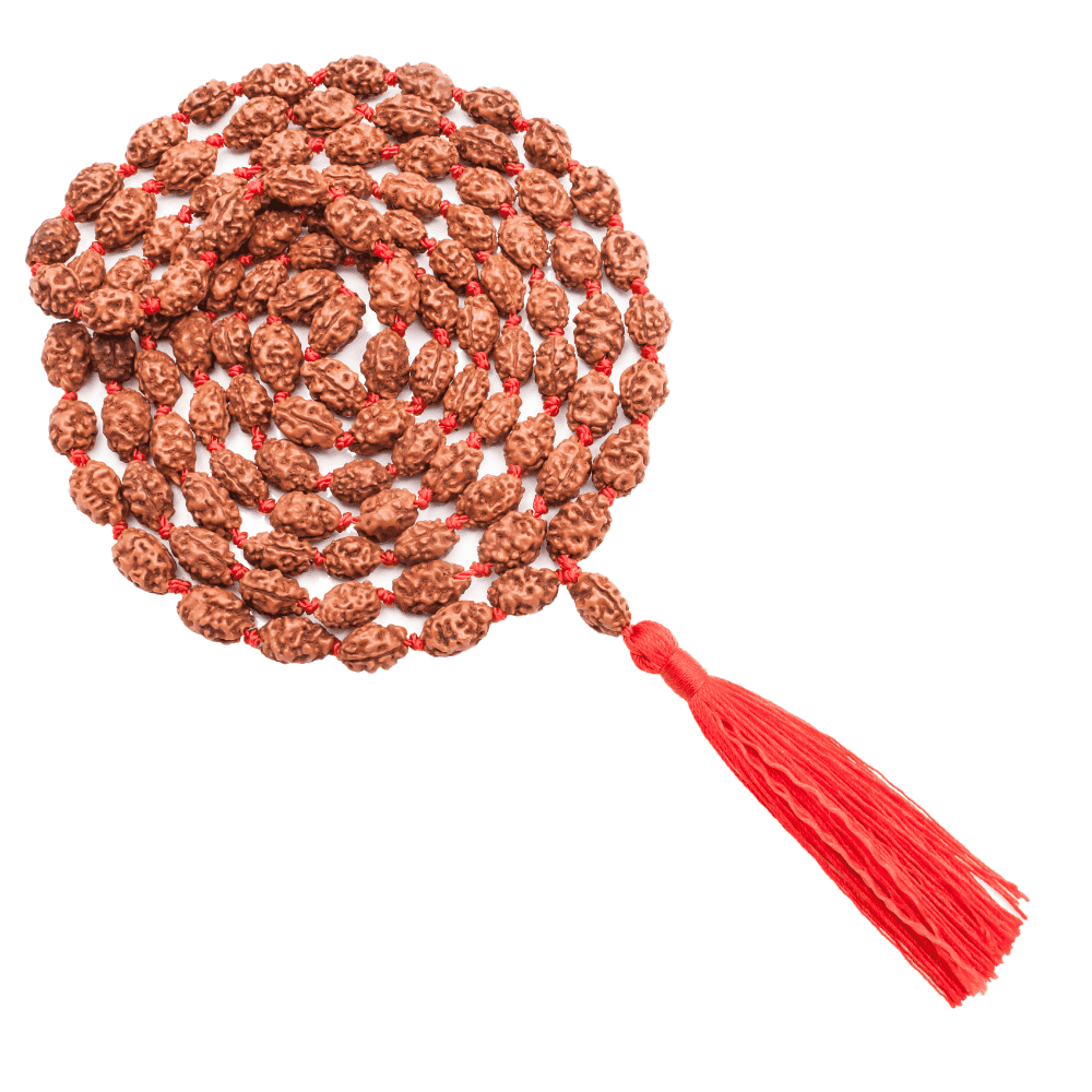 2 Mukhi Rudraksha Mala
