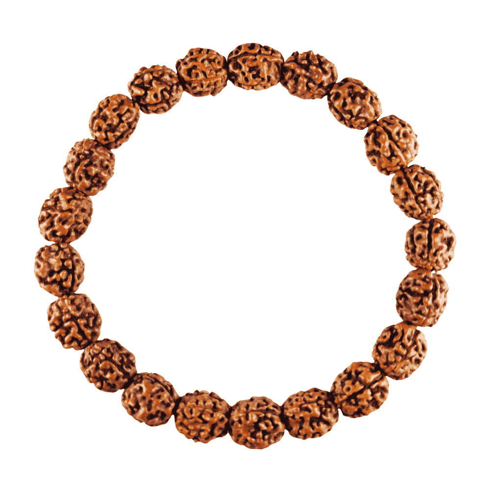 4 Mukhi Rudraksha Bracelet (Full)