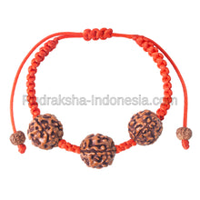 Load image into Gallery viewer, 6 MUKHI RUDRAKSHA BRACELET
