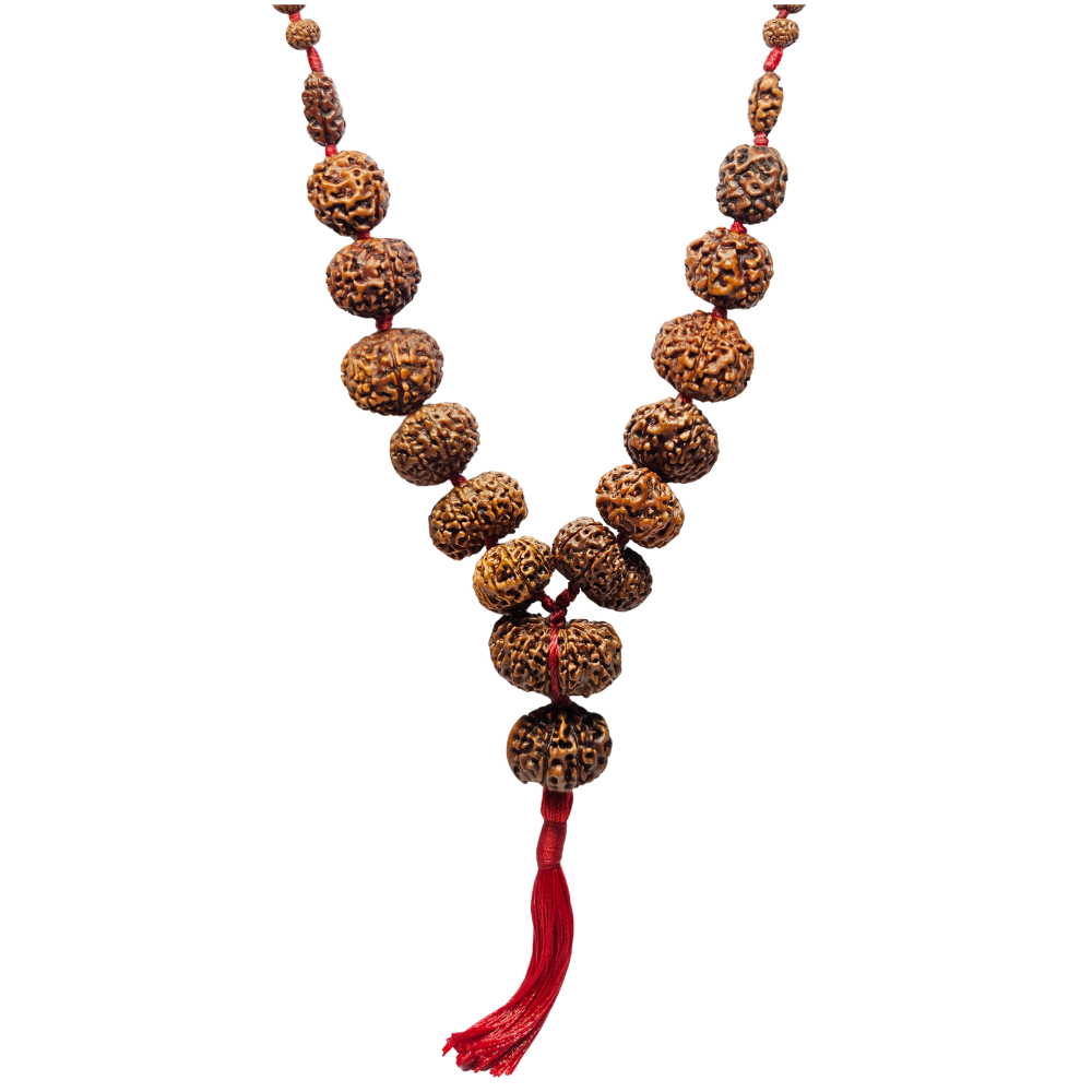 Siddha Mala Rudraksha 108+1