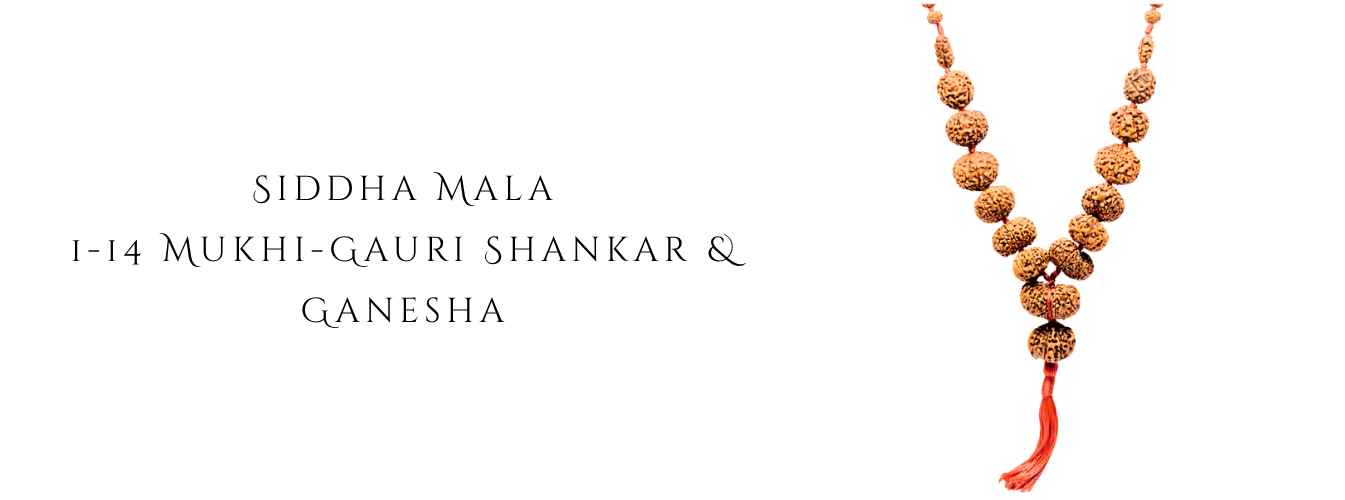 Siddha_Mala_1_to_14_Mukhi_Rudraksha_Mala