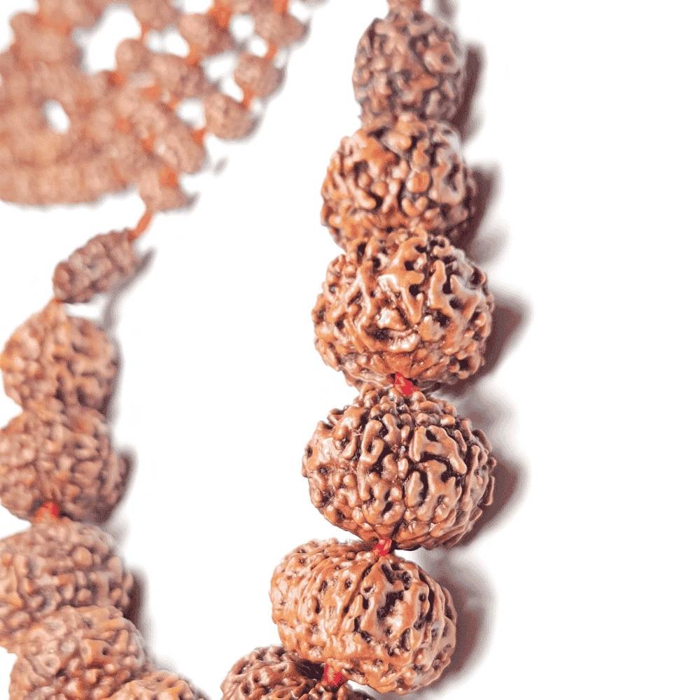 Siddha_Mala_Rudraksha_108