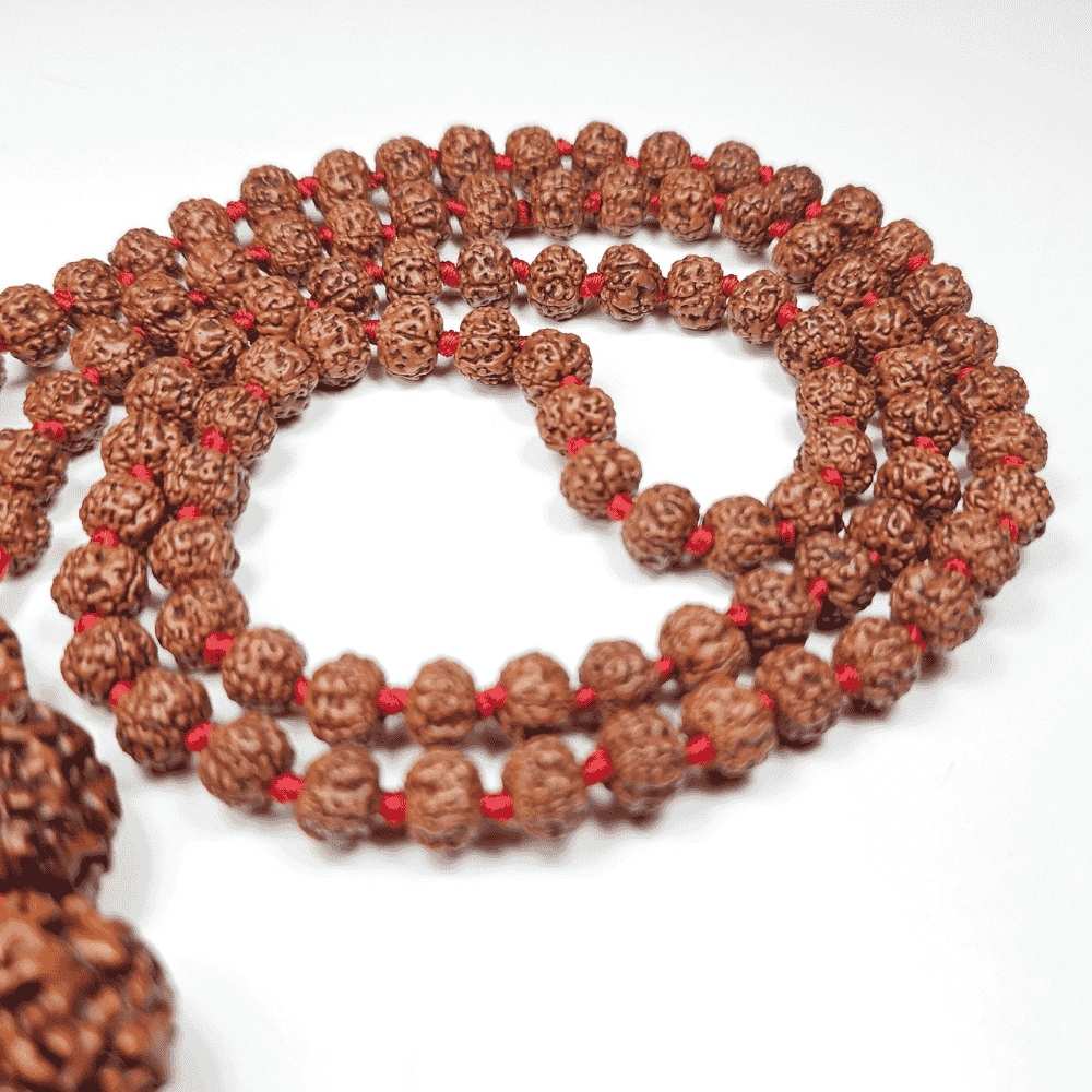 Siddha_Mala_Rudraksha_108