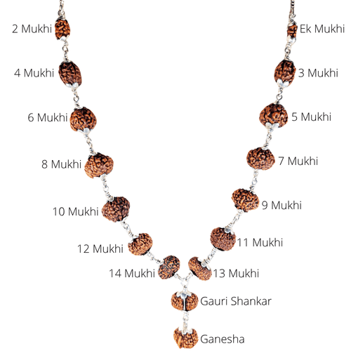 Siddha Mala Rudraksha Silver Capping