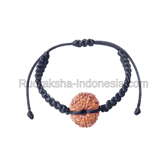 Trideva Blessings Rudraksha Sarvasiddhi Bracelet (1-14 Mukhi Ganesh &  Gaurishankar Rudraksha) - Indonesian Beads (Thread) : Amazon.in: Jewellery